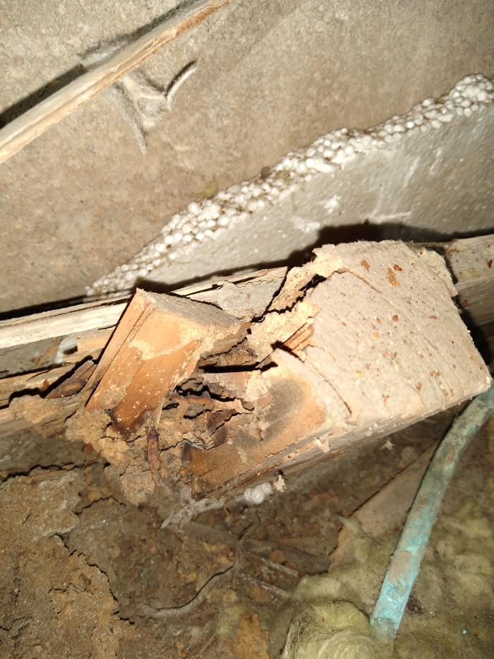Resolve Pest Management - Bayville, NJ