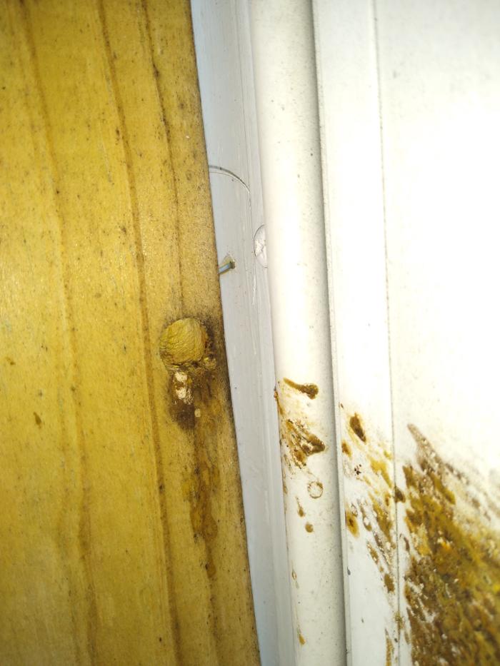 Resolve Pest Management - Bayville, NJ