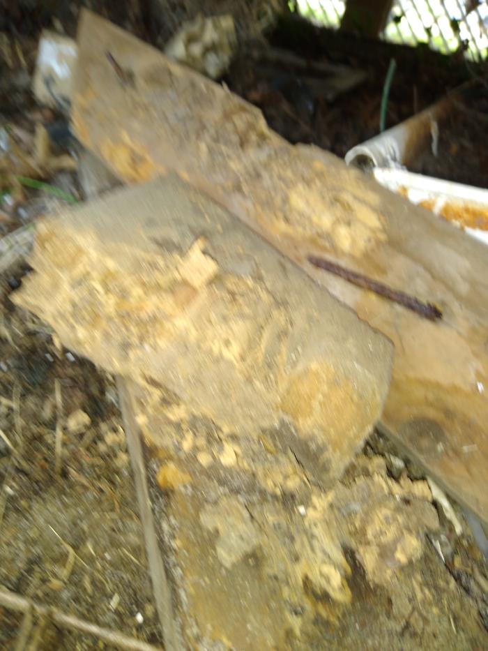 Resolve Pest Management - Bayville, NJ