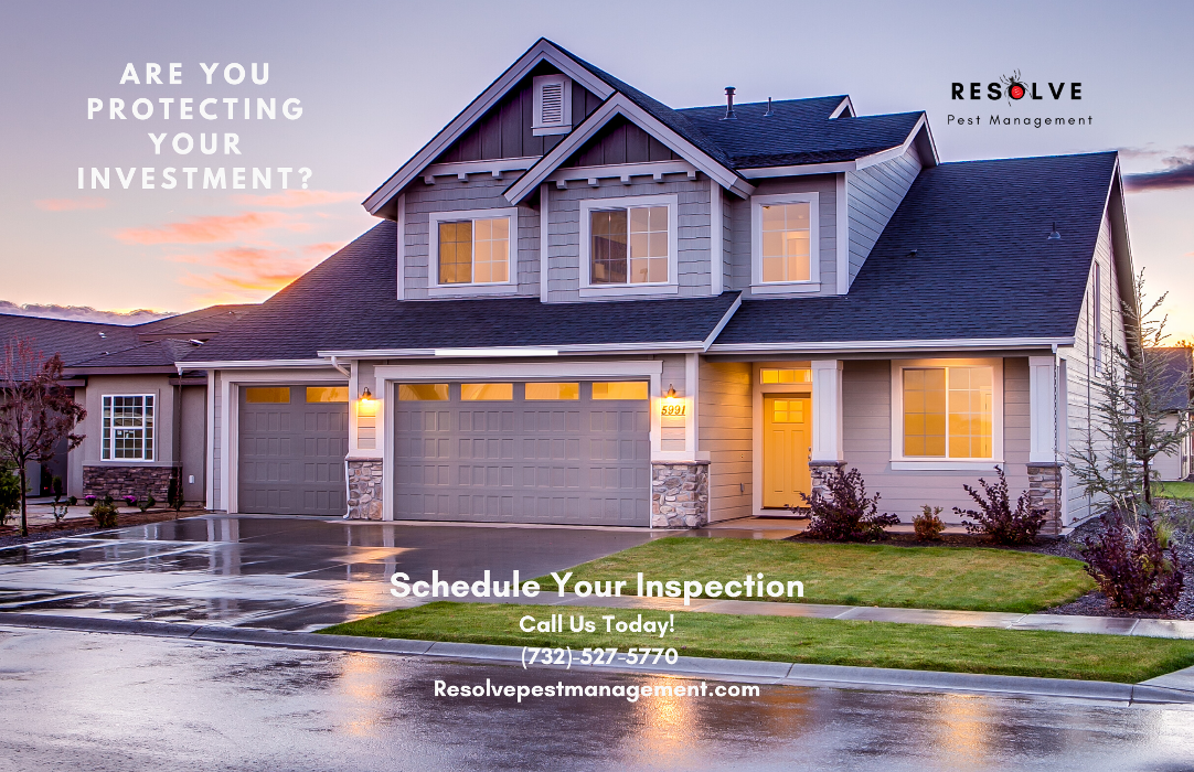 Resolve Pest Management - Bayville, NJ