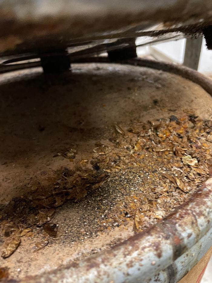 Resolve Pest Management - Bayville, NJ