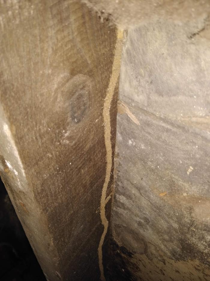 Resolve Pest Management - Bayville, NJ