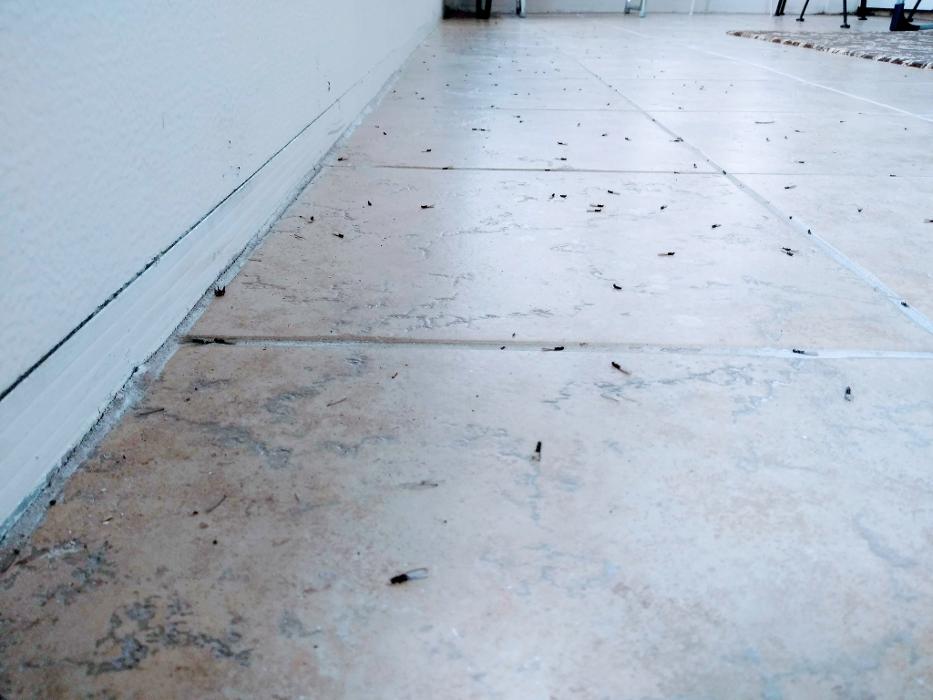Resolve Pest Management - Bayville, NJ