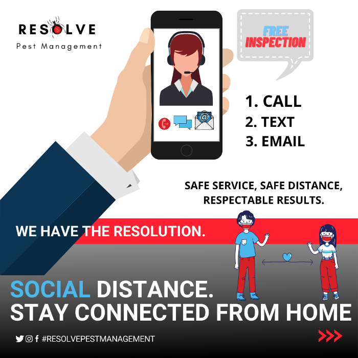 Resolve Pest Management - Bayville, NJ