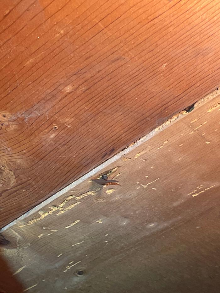 Resolve Pest Management - Bayville, NJ