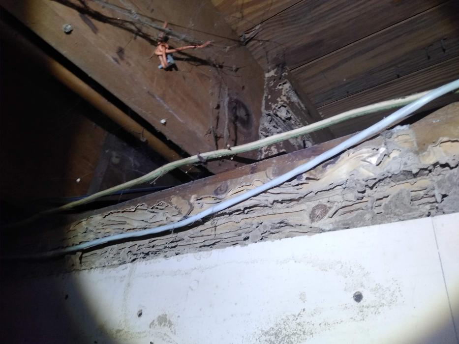 Resolve Pest Management - Bayville, NJ