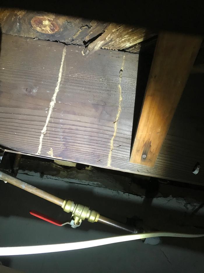 Resolve Pest Management - Bayville, NJ