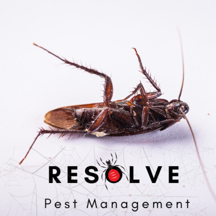 Resolve Pest Management - Bayville, NJ