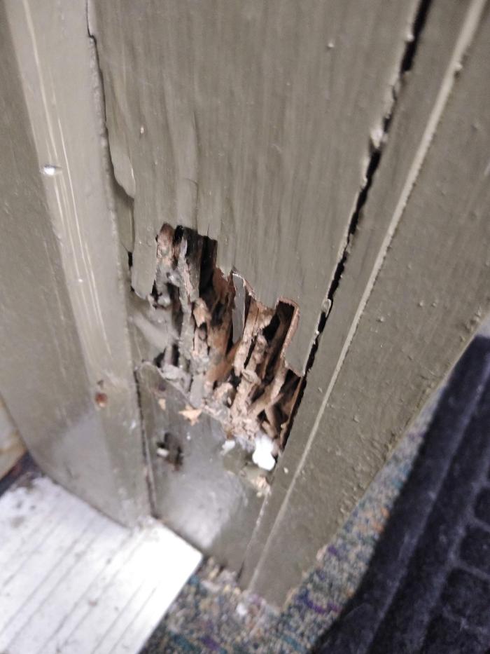 Resolve Pest Management - Bayville, NJ