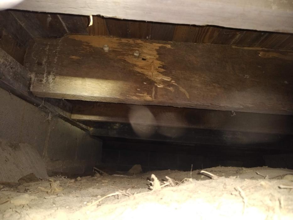 Resolve Pest Management - Bayville, NJ