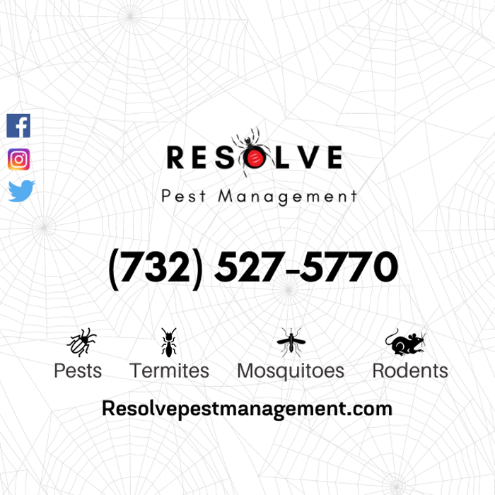 Resolve Pest Management - Bayville, NJ