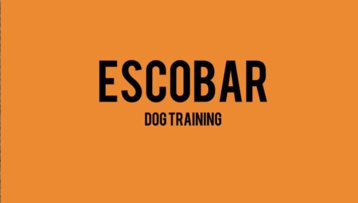 Escobar Dog Training - Inglewood, CA