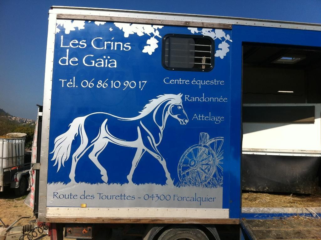 galerie image