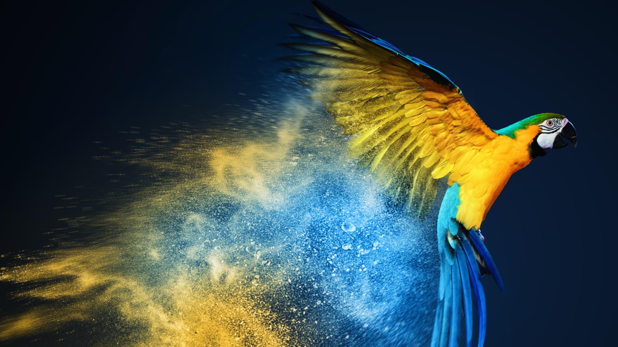 Fotos - Werbeagentur Hannover - Blacklime GmbH - 1