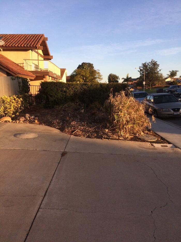 Concrete Connection - Ramona, CA