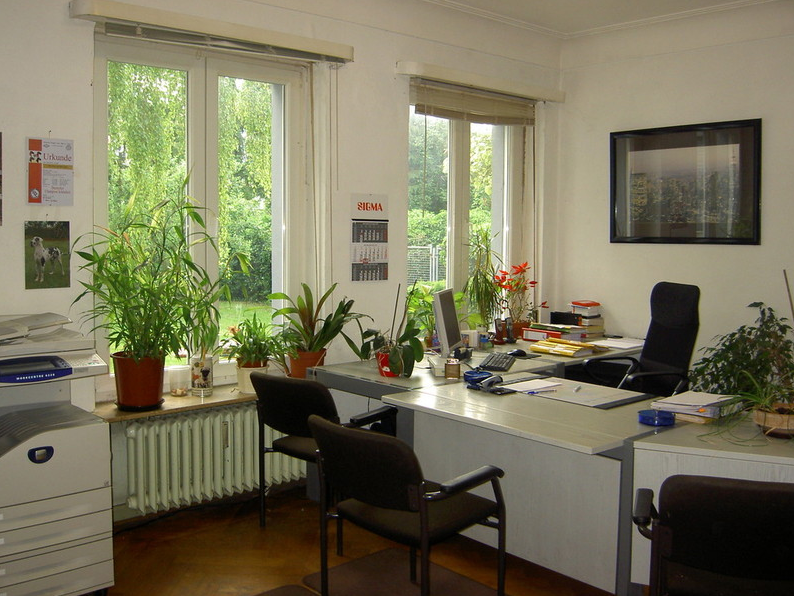 Galerie-Thumbnail