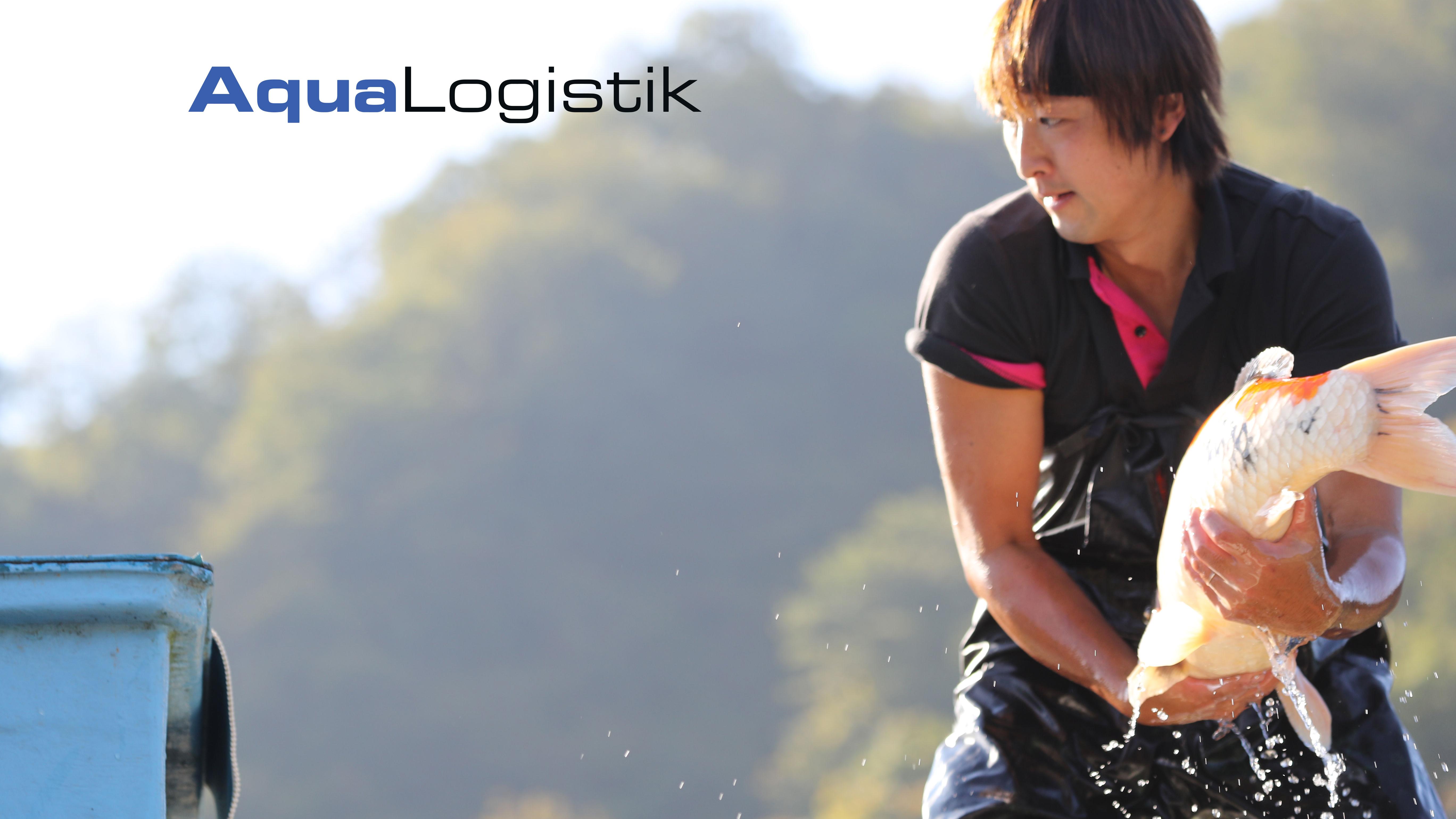 Aqualogistik GmbH, Delecker Weg in Möhnesee