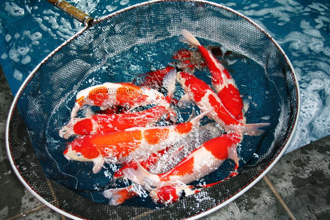 Aqualogistik GmbH, Delecker Weg in Möhnesee