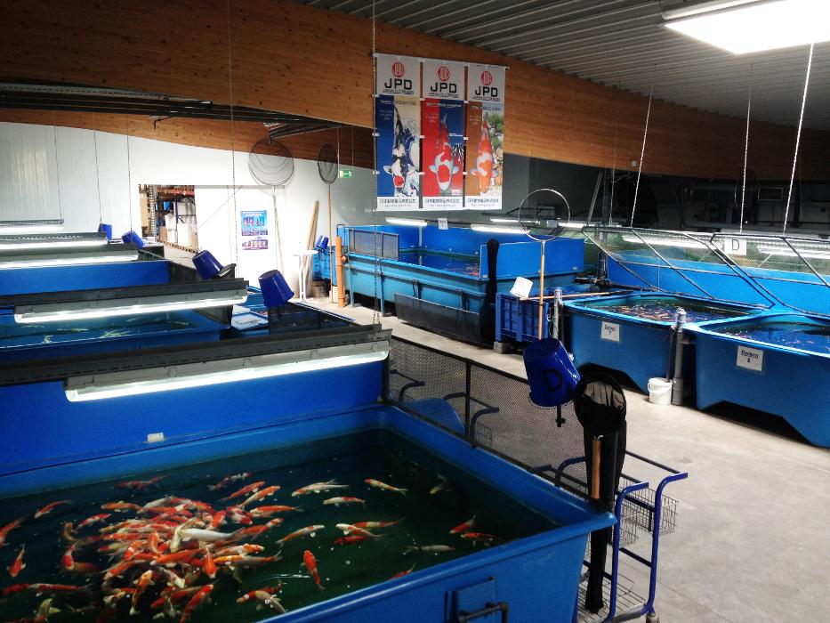 Aqualogistik GmbH, Delecker Weg in Möhnesee