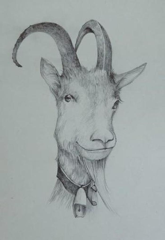 Haus am Rain in Partenen