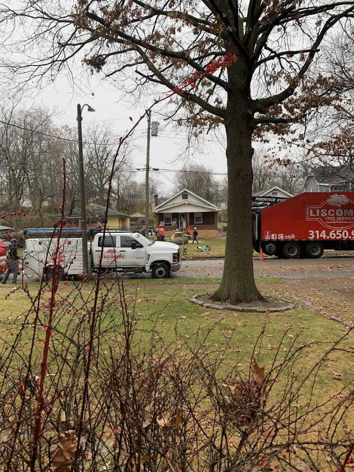 STL Land Clearing LLC - Saint Charles, MO