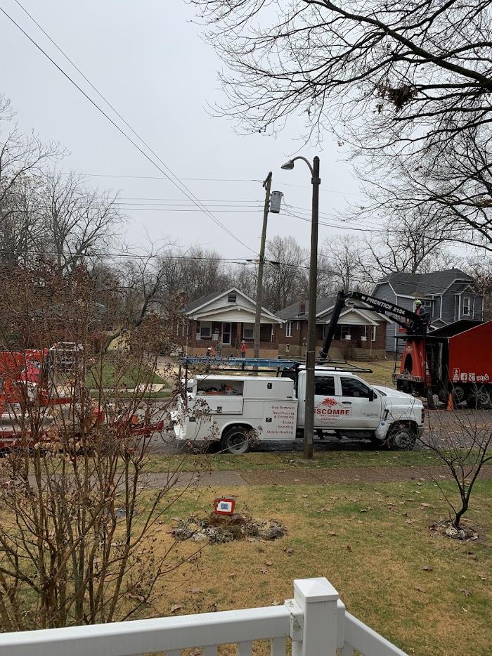 STL Land Clearing LLC - Saint Charles, MO