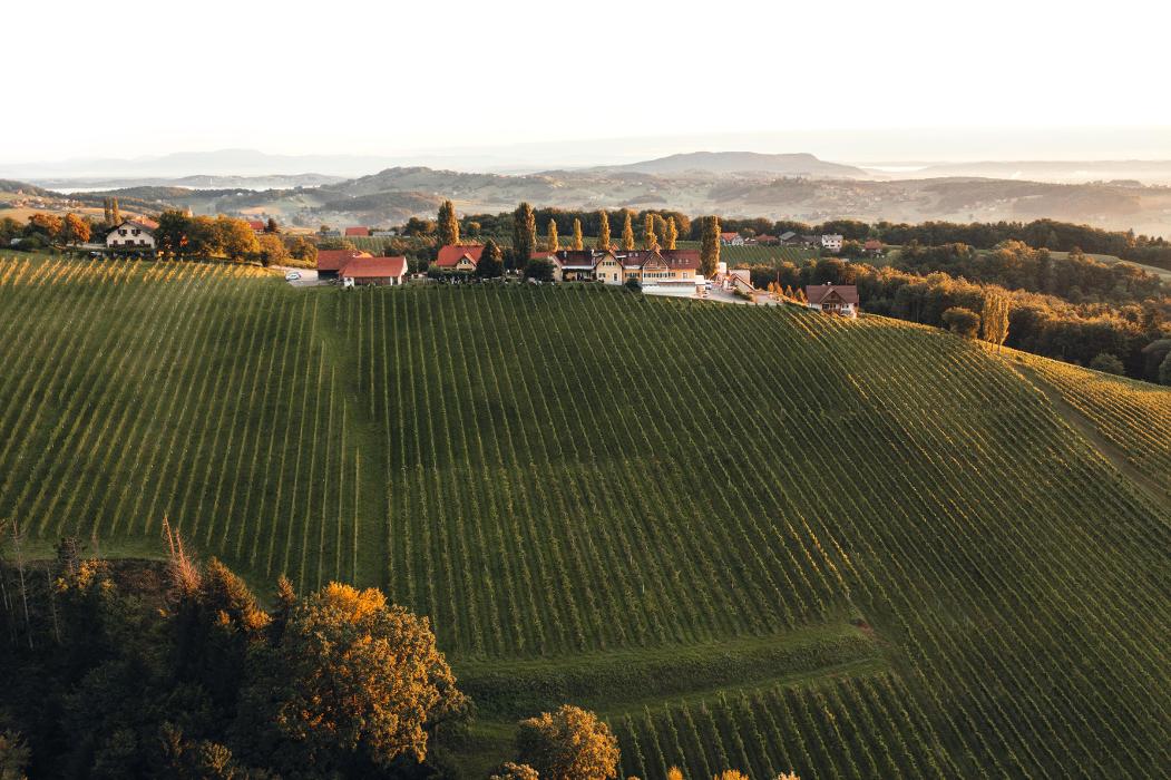 Weingut Buschenschank Pichler-Schober, Mitteregg in St. Nikolai im Sausal