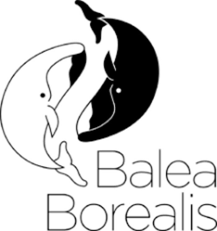 Balea Borealis : Massages & Soins énergétiques in Daillens