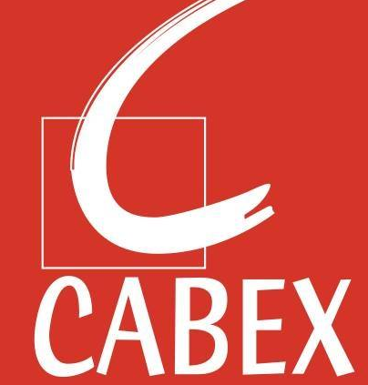 Alejandro & Associes A&A conseil départemental