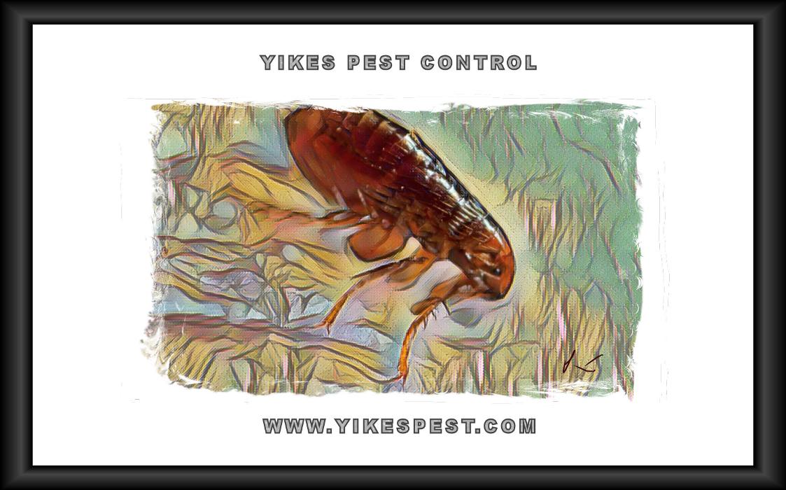 Yikes Pest Control - Wadesville, IN