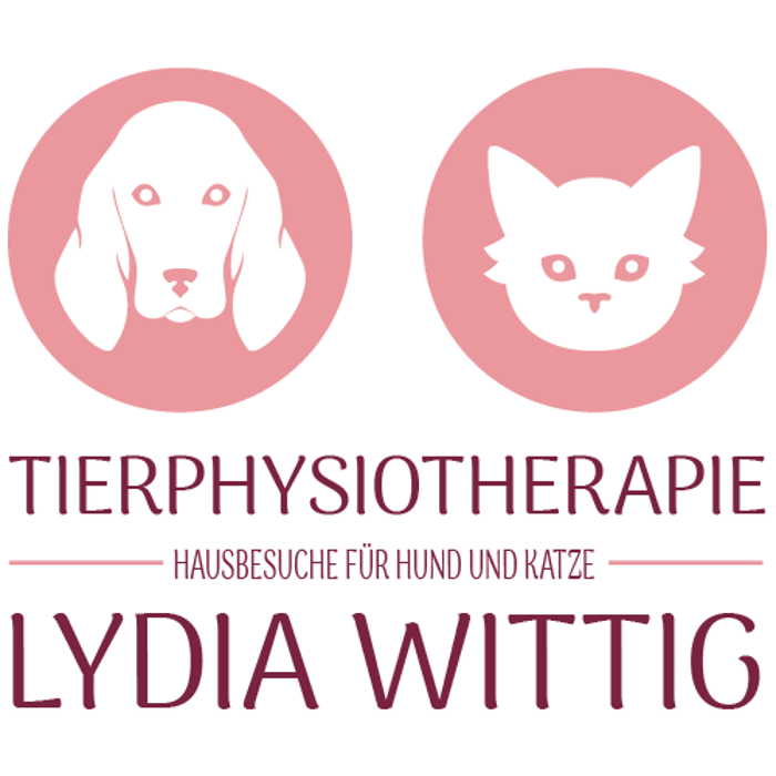 Bild zu Tierphysiotherapie Lydia Wittig - Hausbesuche für Hund und Katze in München Bild zu Tierphysiotherapie Lydia Wittig - Hausbesuche für Hund und Katze in München
