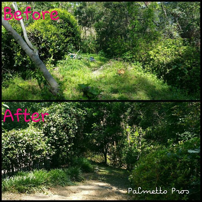 Palmetto Pros - Prosperity, SC