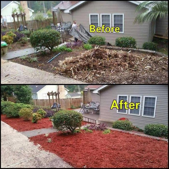 Palmetto Pros - Prosperity, SC