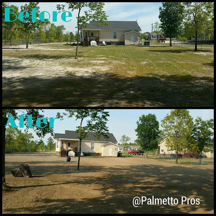 Palmetto Pros - Prosperity, SC