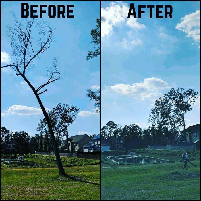 Palmetto Pros - Prosperity, SC