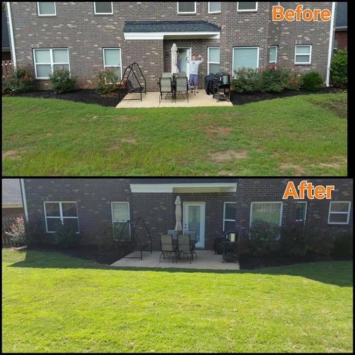 Palmetto Pros - Prosperity, SC