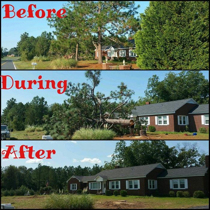 Palmetto Pros - Prosperity, SC