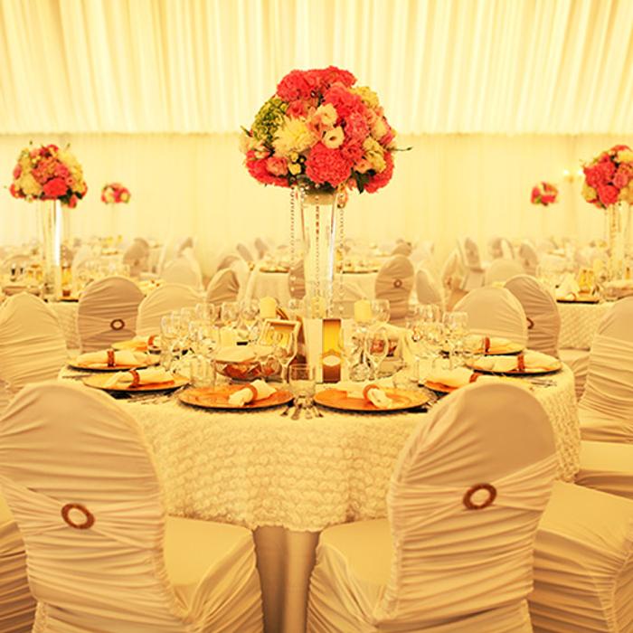Miriam's Party Rental - Escondido, CA