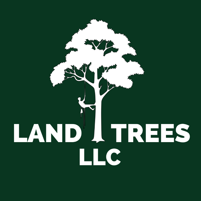 Land Trees - Paradis, LA
