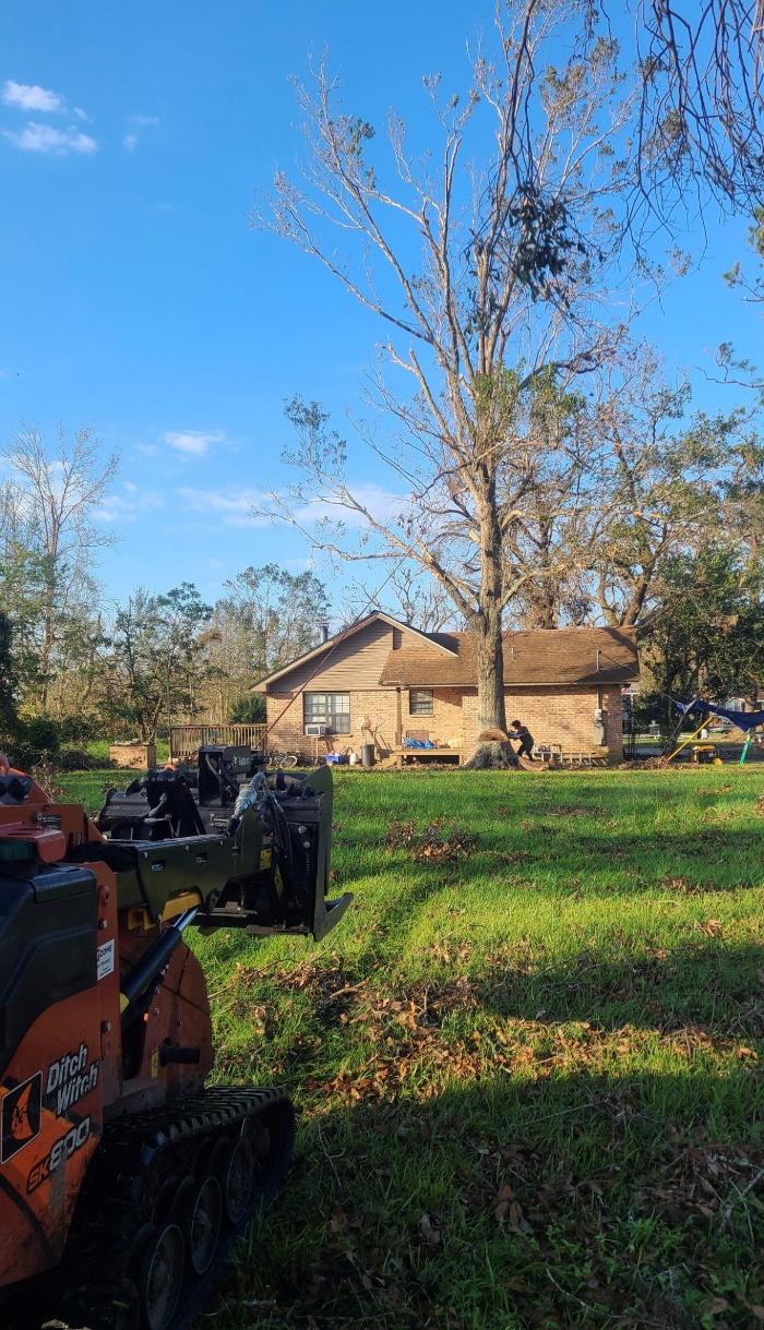Land Trees - Paradis, LA