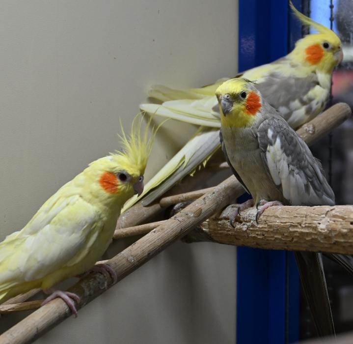 DAS FUTTERHAUS - Bremen-Weserpark, Hans-Bredow-Straße in Bremen