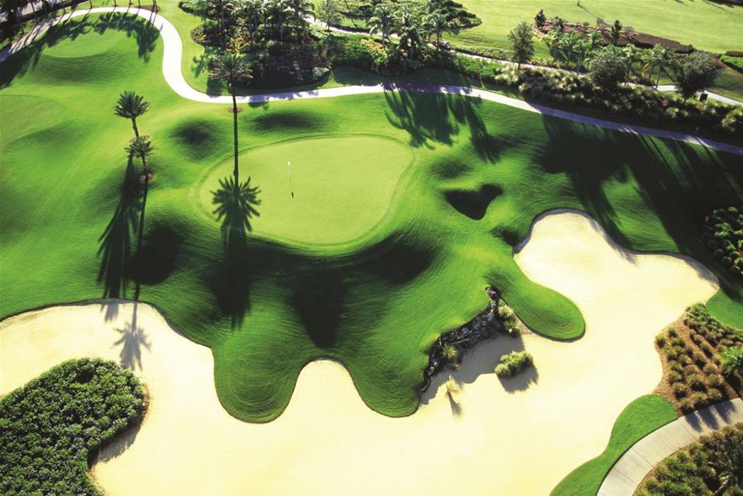 Florida Golf Schools - Zephyrhills, FL