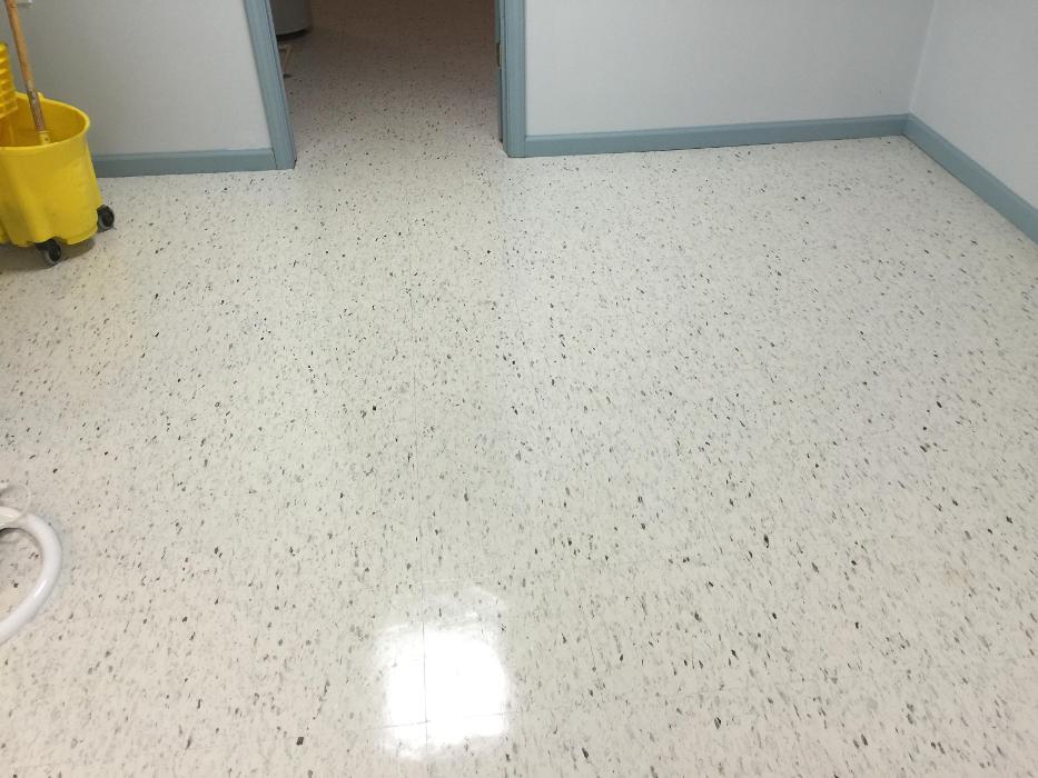 Michigan's Finest Flooring Care - Macomb, MI