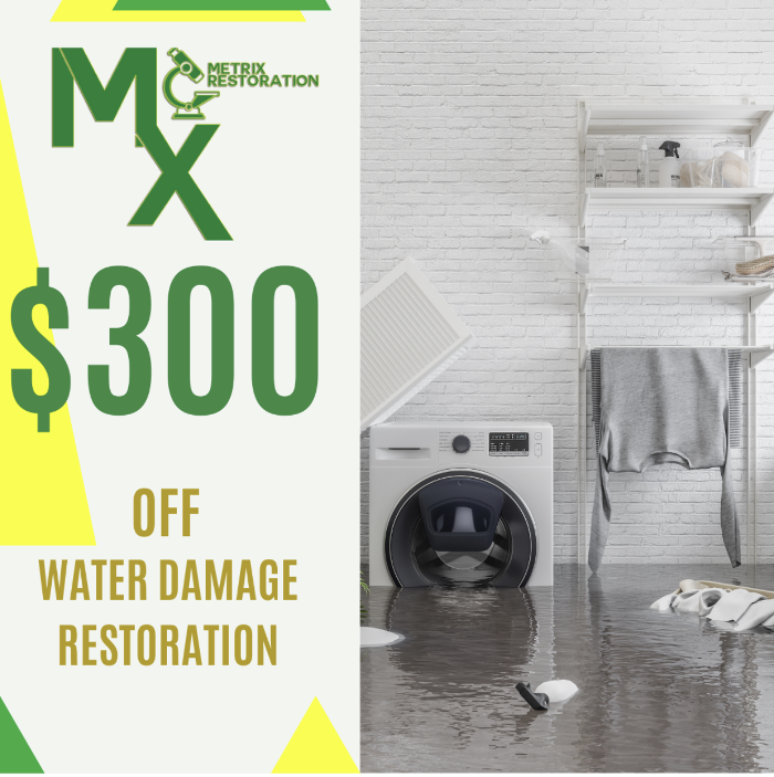 Metrix Restoration dba Flood Metrix, Mold Metrix, Plumbing Metrix - Woodbridge, VA