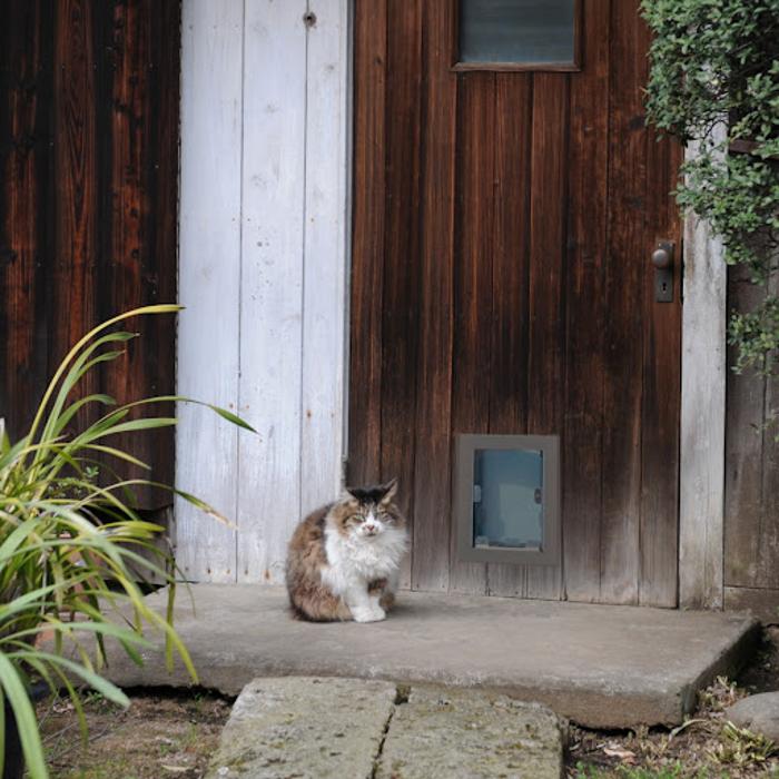 Pet Doors Of Fort Worth - Colleyville, TX