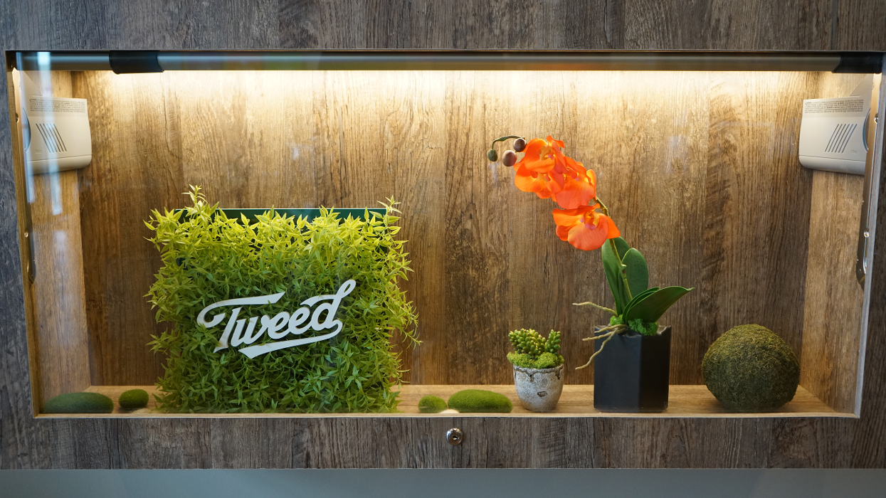 Plantlife Cannabis Weed Dispensary Stoneycreek