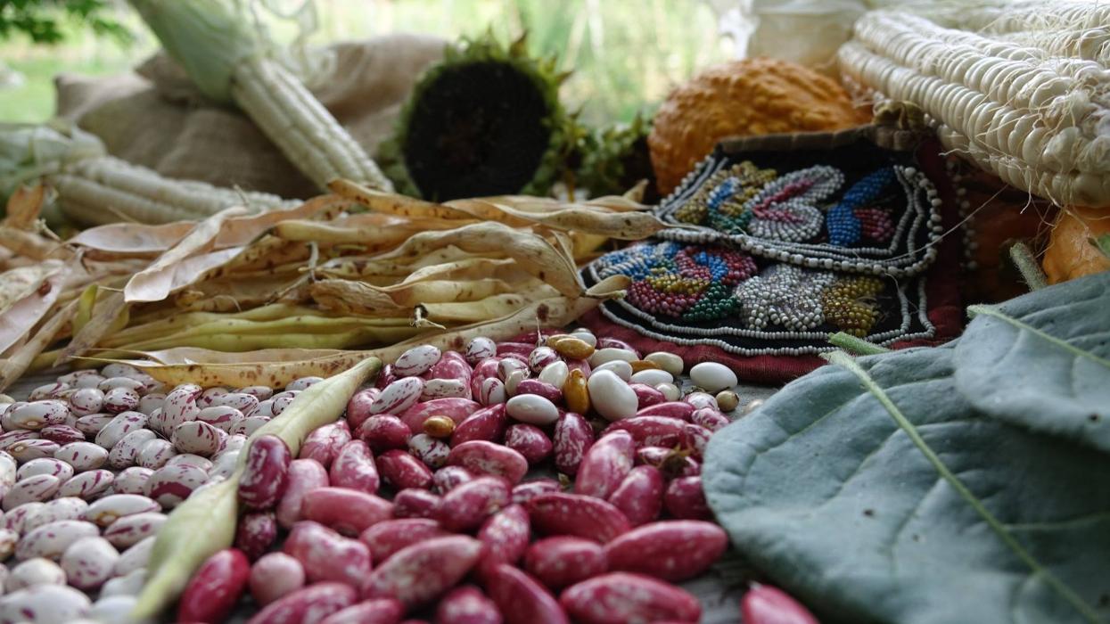 Alliance of Native Seedkeepers - Windsor, NC