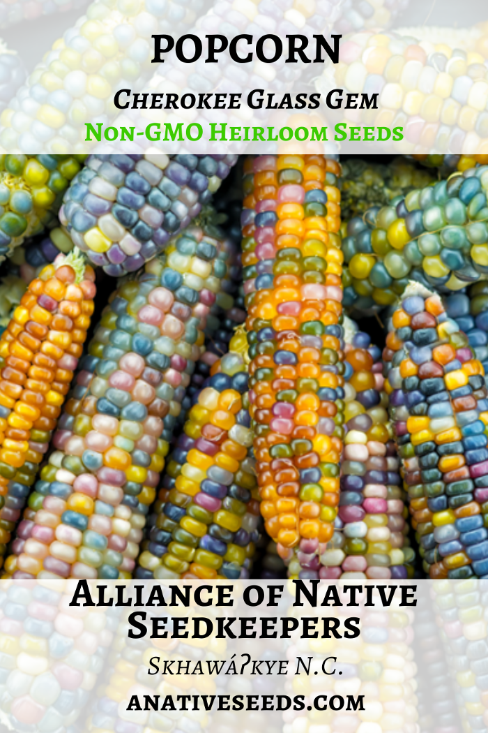 Alliance of Native Seedkeepers - Windsor, NC