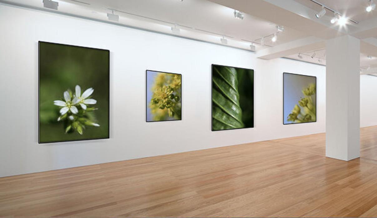 Art Installation and Hanging Associates - West Hempstead, NY