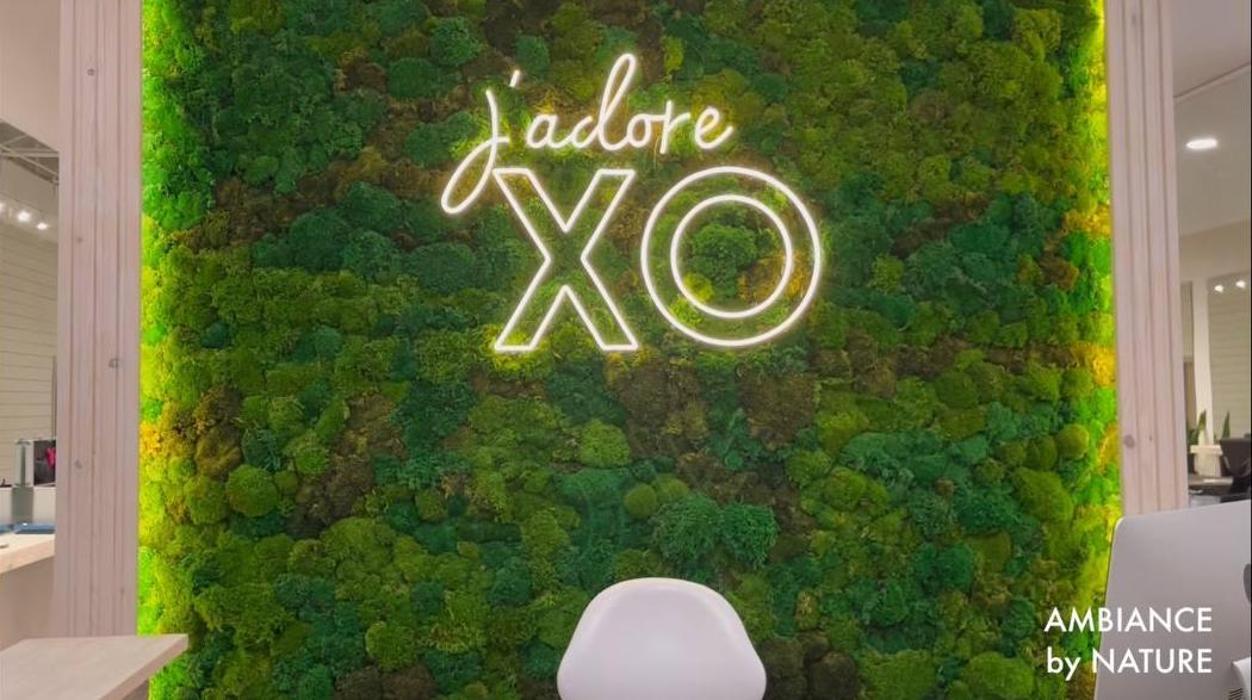 XO Salon & Spa - North Miami Beach, FL